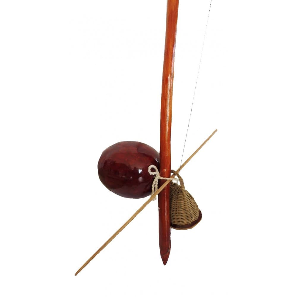 une image représentant la catégorie berimbau viola